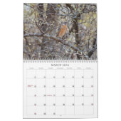 Jardin Birds Birdwatcher Calendrier (Mar 2026)