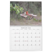 Jardin Birds Birdwatcher Calendrier (Feb 2026)