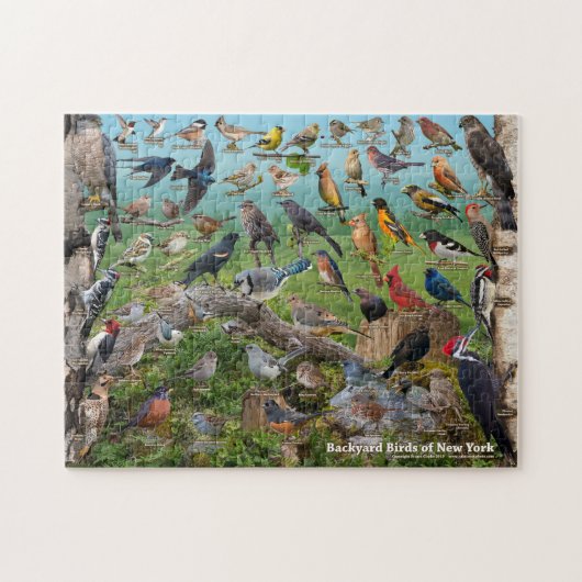 Jardin Birds of New York Puzzle (Horizontal)