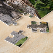 Jardin Birds of Ohio Puzzle (Côté)