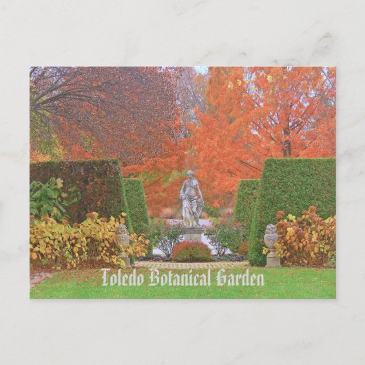 "JARDIN BOTANIQUE DE TOLEDO EN AUTOMNE" CARTE POST (Devant)
