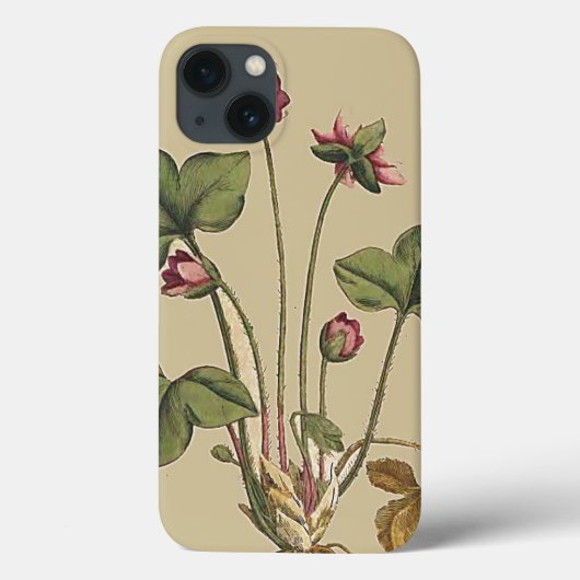Jardin botanique fleuri iPhone 6 Coque (Verso)