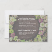 Jardin CLASSIQUE Hellebore Détails Carte de boîtie (Devant)