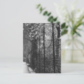 Jardin clôturé Carte postale (Debout devant)