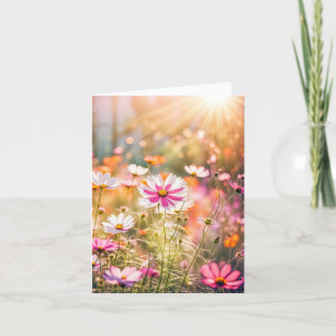 Jardin Cosmos Rose Pour Merci Sympathique