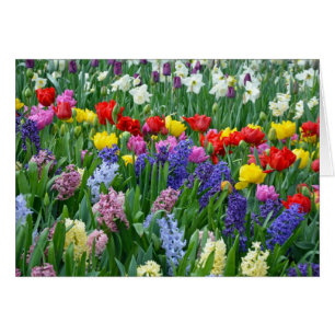 Jardin d'agrément coloré de ressort