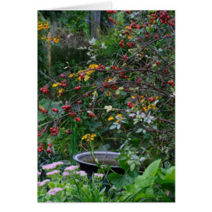 Jardin d'automne