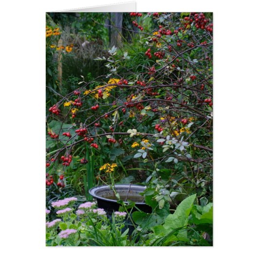 Jardin d'automne (Devant)