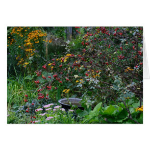 Jardin d'automne