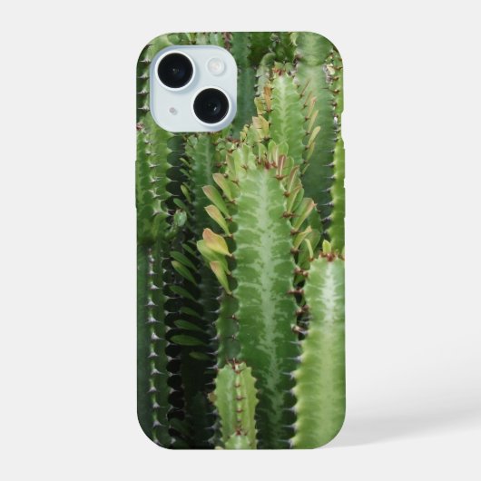 Jardin de cactus (Verso)