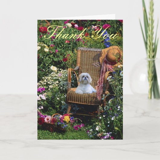 Jardin de carte de remerciements de Shih Tzu (Devant)