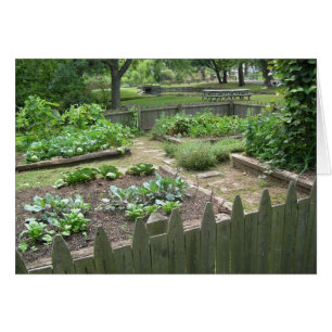 Jardin de cuisine II