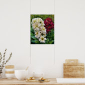 Jardin de fleurs blanches et rouges Affiche d'art (Cuisine)