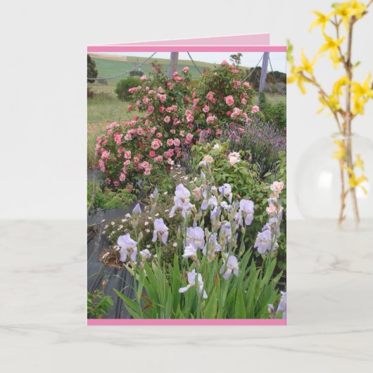 Jardin de fleurs de rose carte florale iris (Fleur jaune)