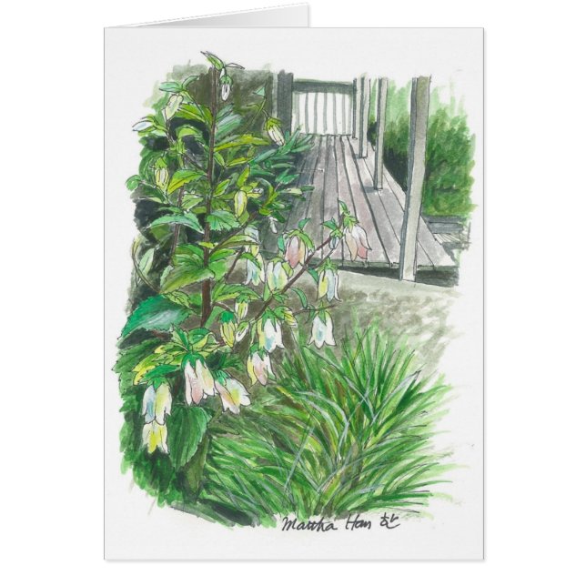 Jardin de jardin (Devant)