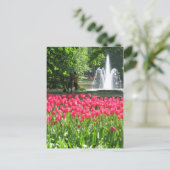Jardin de Keukenhof - Holland carte postale (Debout devant)