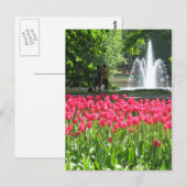 Jardin de Keukenhof - Holland carte postale (Devant / Derrière)