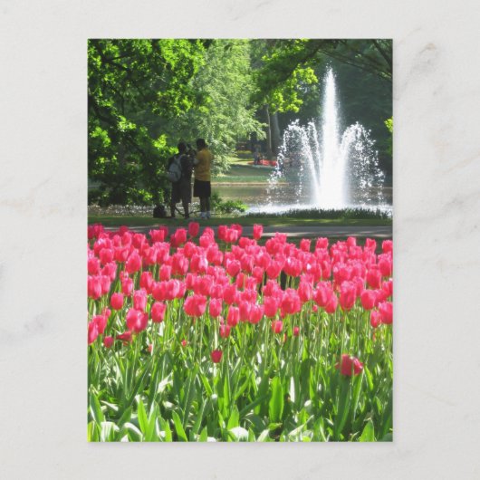 Jardin de Keukenhof - Holland carte postale (Devant)