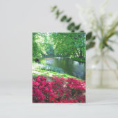 Jardin de Keukenhof - Holland carte postale (Debout devant)