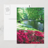 Jardin de Keukenhof - Holland carte postale (Devant / Derrière)