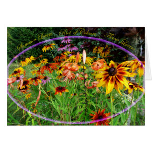Jardin de l'émeute des couleurs