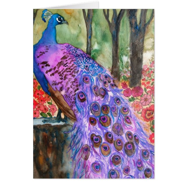 Jardin de Peacock (Devant)