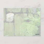 Jardin de pierre : Aristote - Carte postale (Dos)