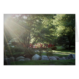Jardin de printemps