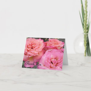 Jardin de roses rougissantes Merci