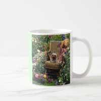 Jardin de tasse de Yorkshire Terrier