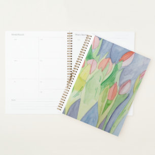 Jardin de Tulip