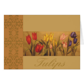 Jardin de tulipe