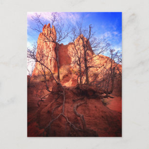 Jardin des Dieux Colorado Parc Photo Carte Postale