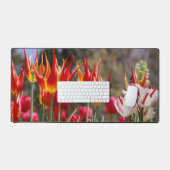 Jardin des flammes florales (Clavier et souris)