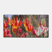 Jardin des flammes florales (Recto)