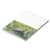 Jardin d'été avec bloc-notes Peacock (Tourné)