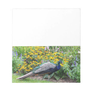 Jardin d'été avec bloc-notes Peacock