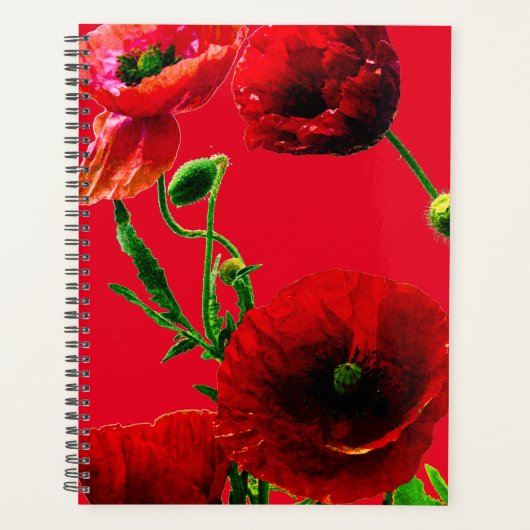 Jardin d'été de fleurs de pavot vert rouge (Devant)