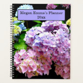 Jardin d'Hydrangea, rose, bleu, mauve maman à fleu (Devant)