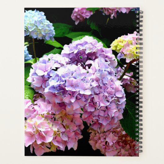 Jardin d'Hydrangea, rose, bleu violet mariage à fl (Dos)
