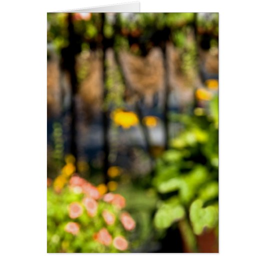 Jardin En Fer Forgé (Devant)