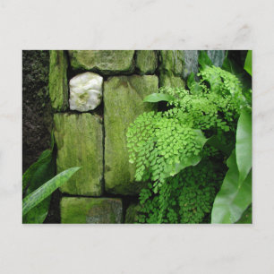 Jardin en pierre - Carte postale