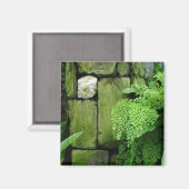 Jardin en pierre - Magnet #1 (Recto/Verso)