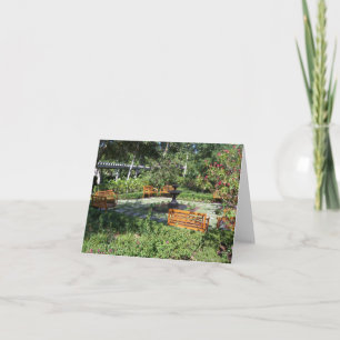 Jardin ensoleillé et fontaine sur carte blanche