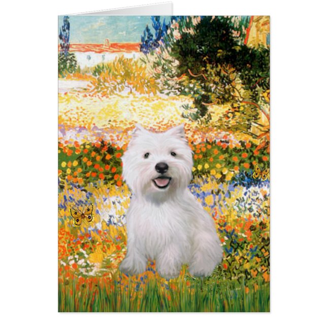 Jardin Fiorito - Westie 2 (Devant)