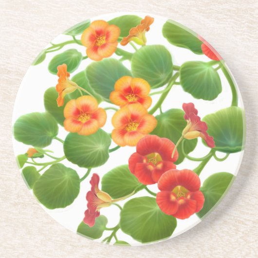 Jardin Fleurs de Nasturtium Votre Dessous de verre (Devant)