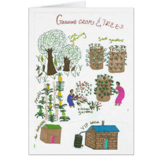 Jardin impeccable de sac