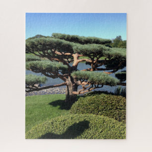 Jardin japonais Landcap Bonsai Arbre Puzzle Nature