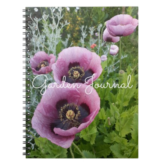 Jardin Journal Poppy Floral rose violet Carnet (Devant)