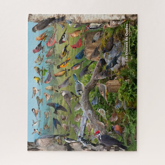 Jardin Oiseaux du Québec (en français) Puzzle (Vertical)